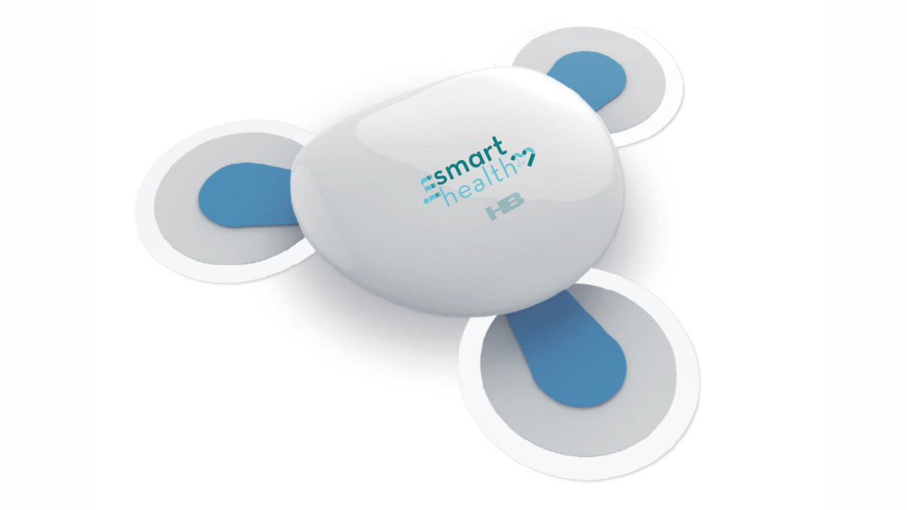 GESTIÓN DE PROYECTOS - in-smarthealth